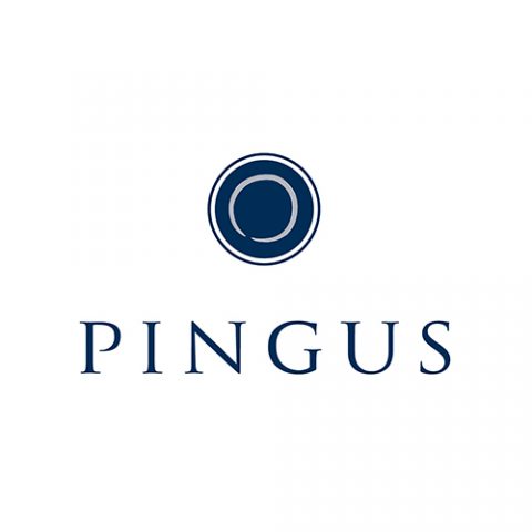 DOMINIO DE PINGUS