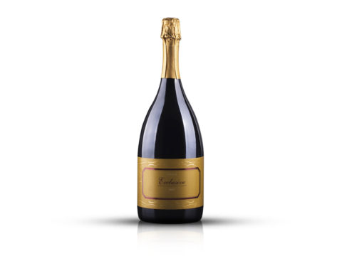 TANTUM ERGO EXCLUSIVE