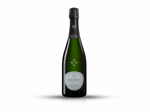 BAUCHET SAINT NICASIE BLANC DE BLANCS MILLESIME