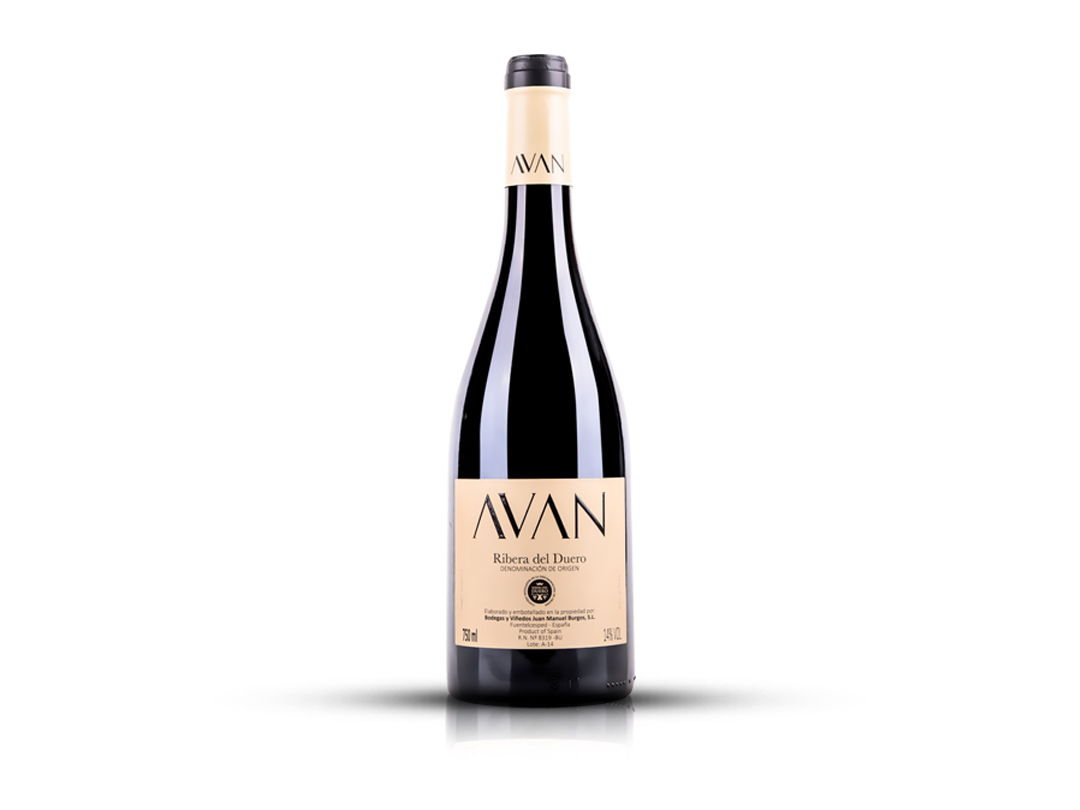 RIBERA DEL DUERO