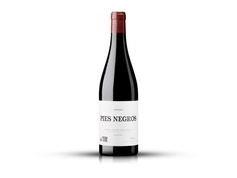 PIES NEGROS