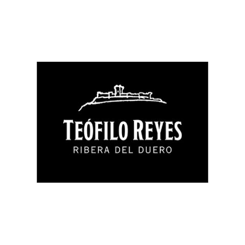 TEÓFILO REYES