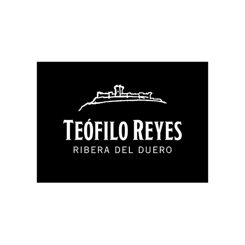 TEÓFILO REYES