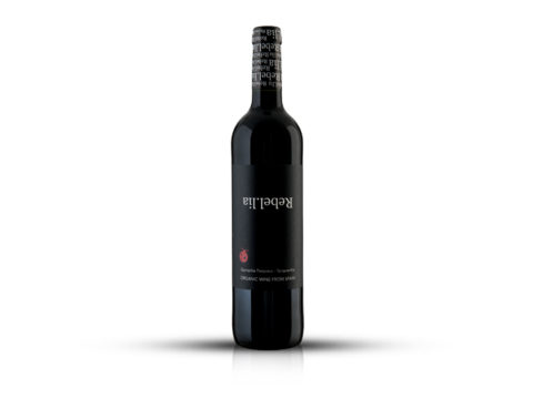 REBEL.LIA TINTO