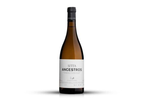 SITTA ANCESTROS
