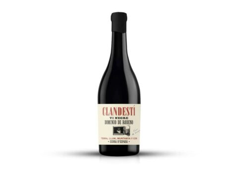 DOMINIO DE RODENO CLANDESTI TINTO